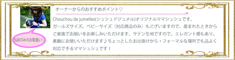 オーナーおすすめポイント